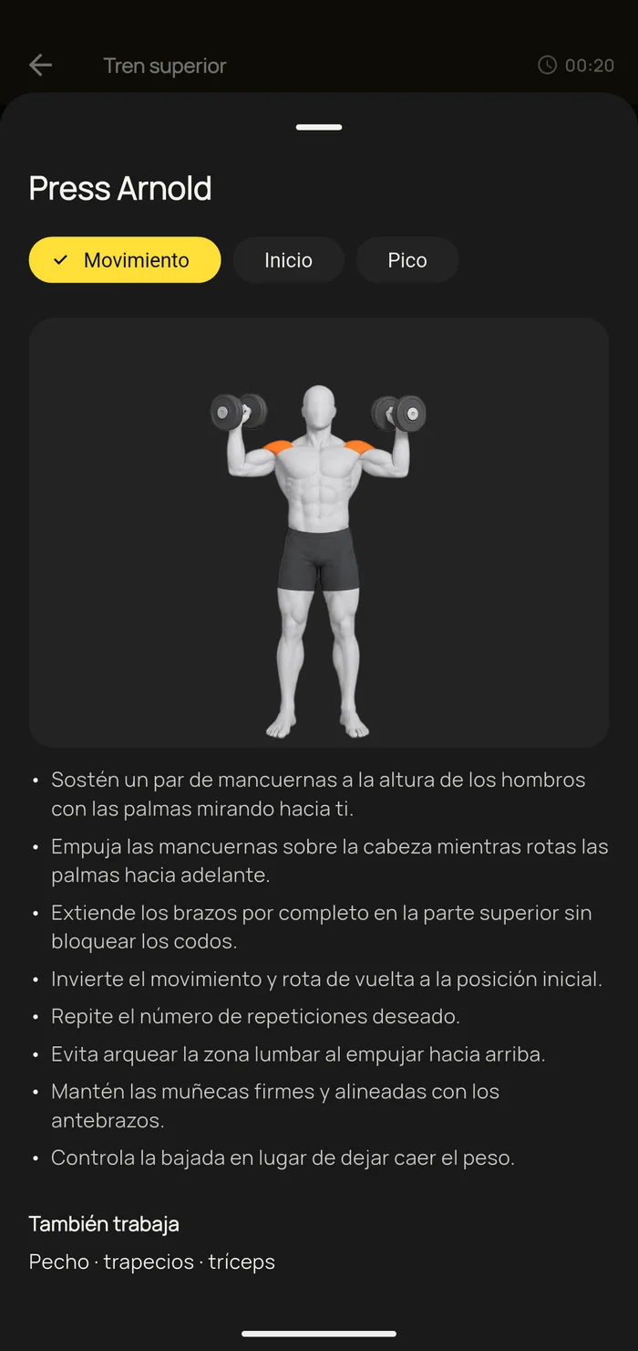 Pantalla de técnica del ejercicio Press Arnold con indicaciones paso a paso